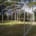 Shade shed structures