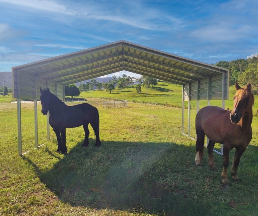 horses standing in a field under a metal shelter