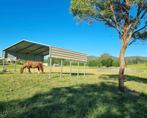 a horse eating grass in a field