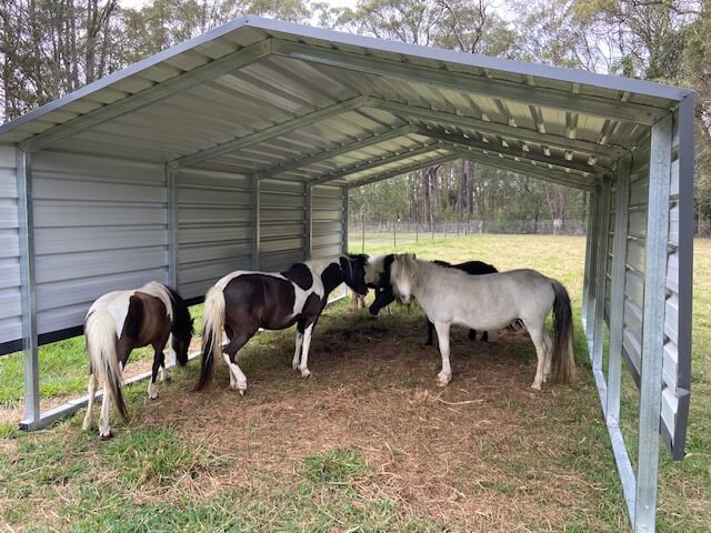 A horse underneath a livestock shade shed